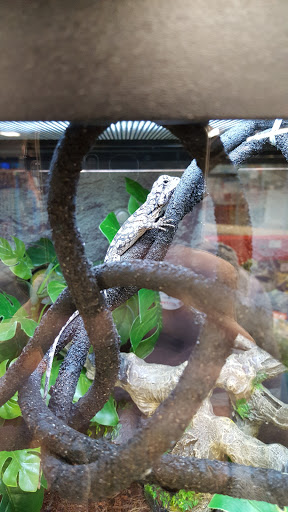 Pet Supply Store «Petco Animal Supplies», reviews and photos, 179 N Milwaukee St, Boise, ID 83704, USA