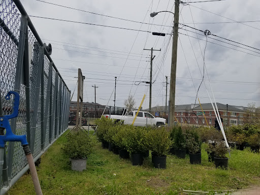 National Park «Petersburg National Battlefield Park Trailhead», reviews and photos, 5001 Siege Rd, Petersburg, VA 23804, USA