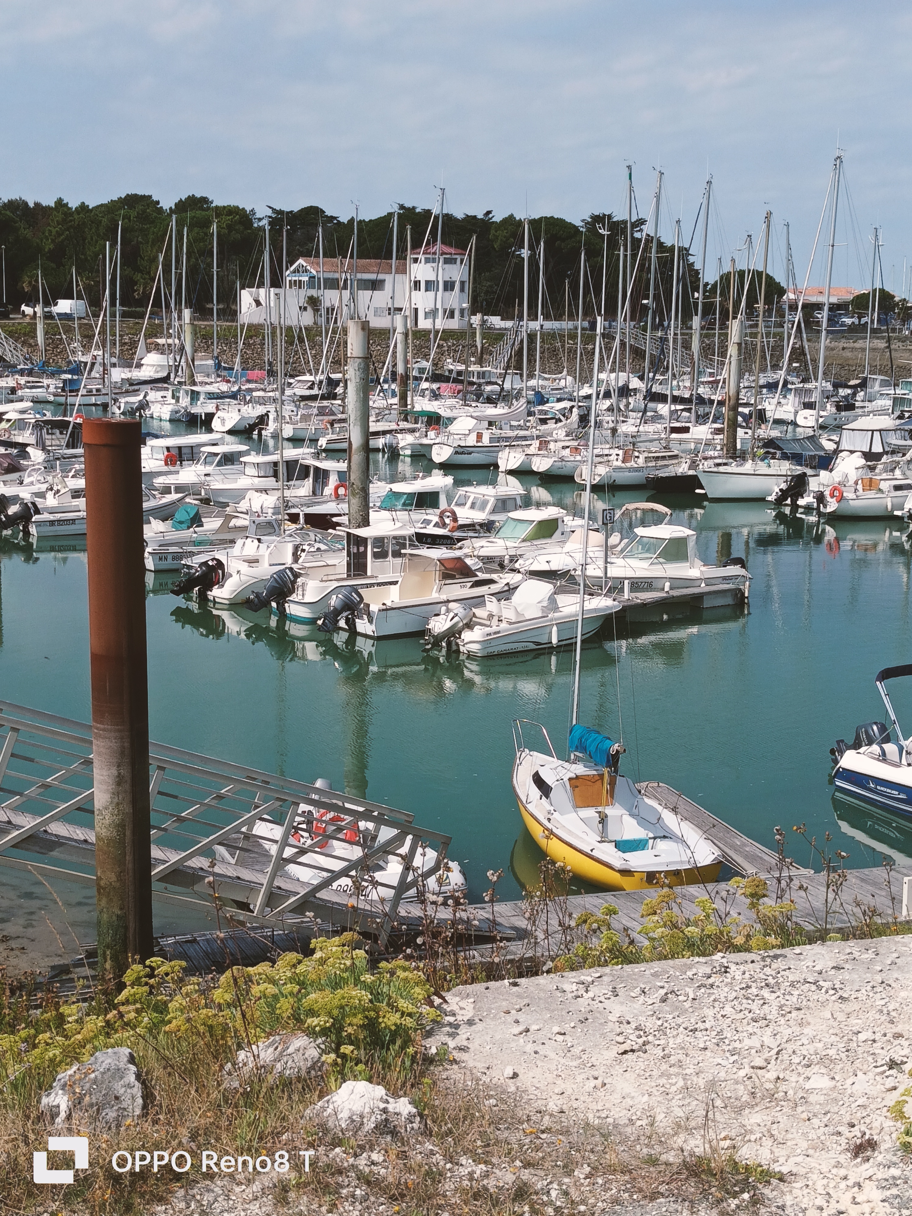 Photo n° 8 de l'avis de M-G. fait le 17/08/2023 à 12:46