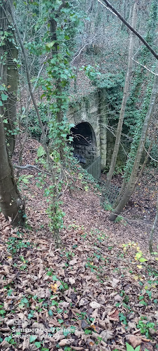 Comments and reviews of Cadeby Tunnel