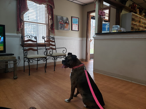 Woodland Veterinary Hospital: Amor Dawn Erikso DVM image