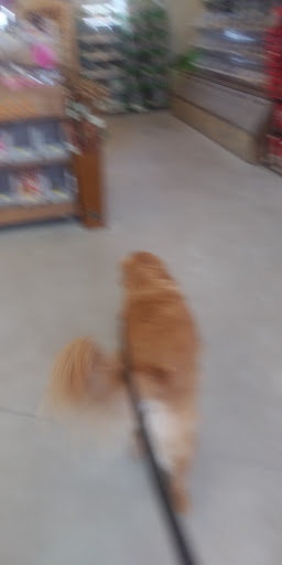 Pet Supply Store «Essex County Co-Op», reviews and photos, 146 S Main St, Topsfield, MA 01983, USA