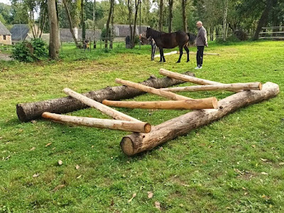 Ecurie Equi'Ecoute à Parce