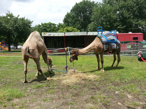 Amphitheater «Michigan Lottery Amphitheatre at Freedom Hill», reviews and photos, 14900 Metro Pkwy, Sterling Heights, MI 48312, USA