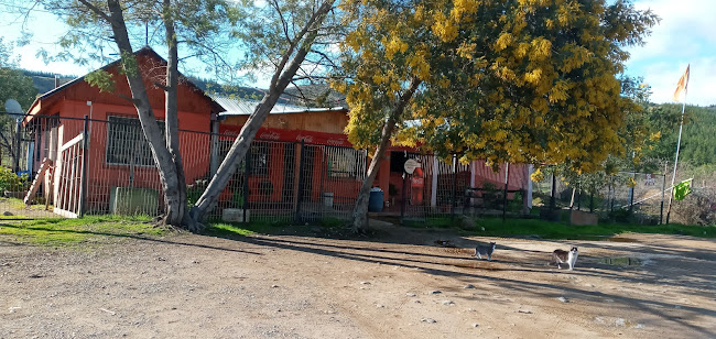 Pollos Cocidos - Restaurante