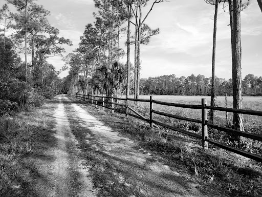 Nature Preserve «Cypress Creek Natural Area», reviews and photos, 10035 W Indiantown Rd, Jupiter, FL 33478, USA