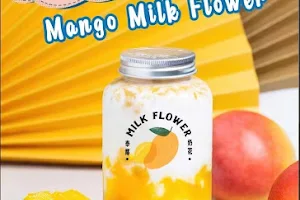 Milk Flower image