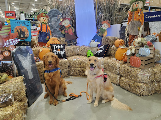 Dog Trainer «Off Leash K9 Training, Charlottesville», reviews and photos, 8782 Seminole Trail, Ruckersville, VA 22968, USA