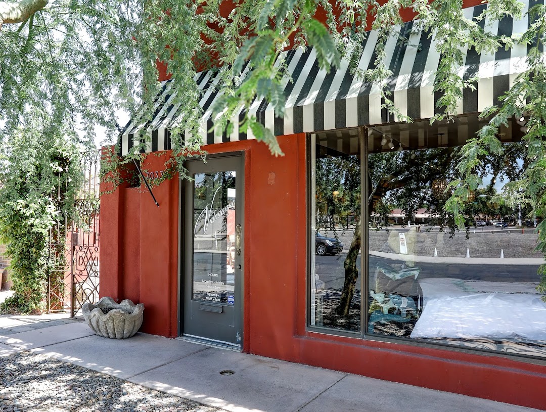 Valerianne of Scottsdale