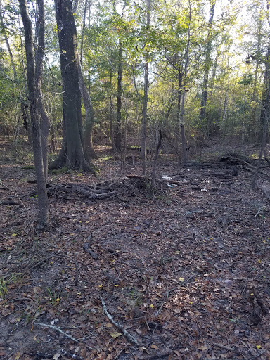 Water Park «Paradise Water Park», reviews and photos, 4675 US-96, Silsbee, TX 77656, USA