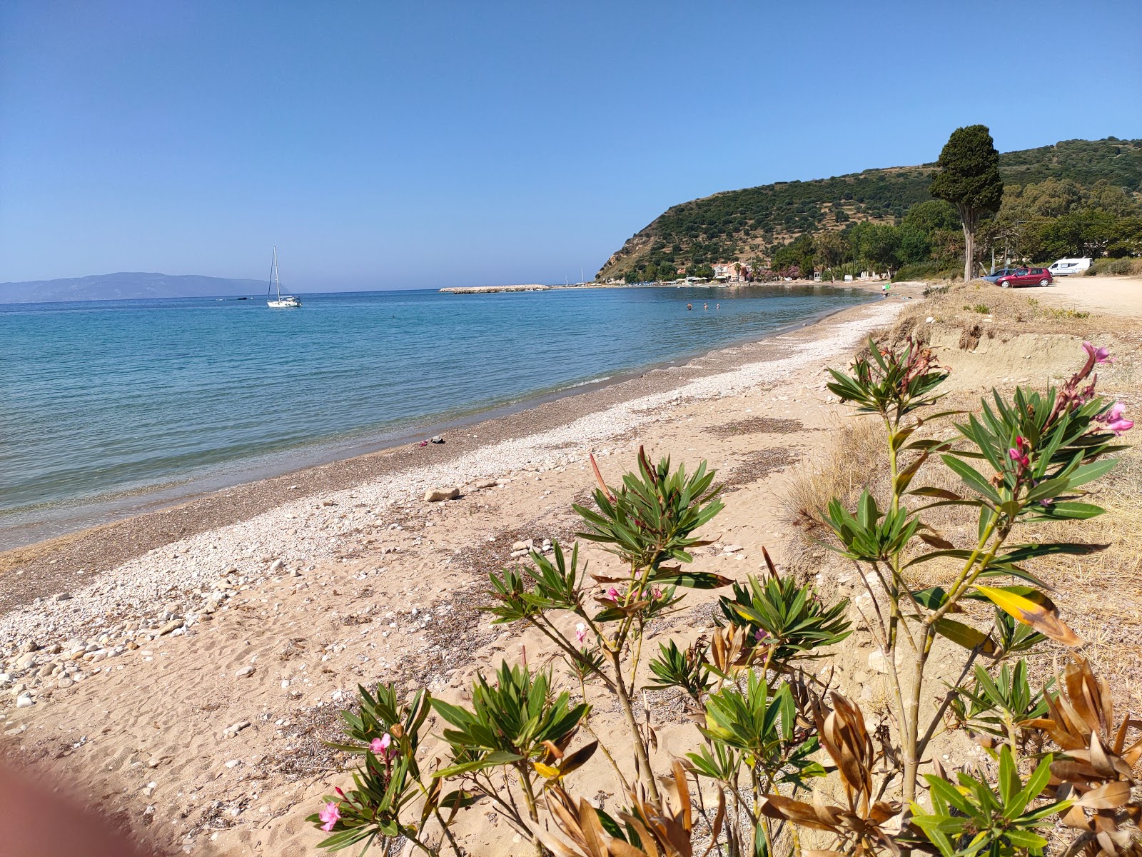 Photo de Paralia Agia Varvara avec l'eau vert clair de surface