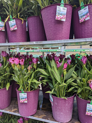 Home Improvement Store «The Home Depot», reviews and photos, 3950 N 144th St, Omaha, NE 68116, USA