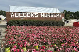 Adcock's Nursery Inc image