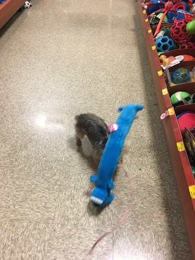 Pet Supply Store «PetSmart», reviews and photos, 2718 Legends Pkwy, Prattville, AL 36066, USA