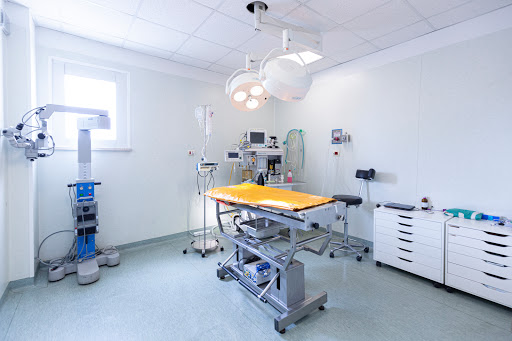 Pensioni per cani e dog hotel a Ospedale Veterinario Croce Azzurra