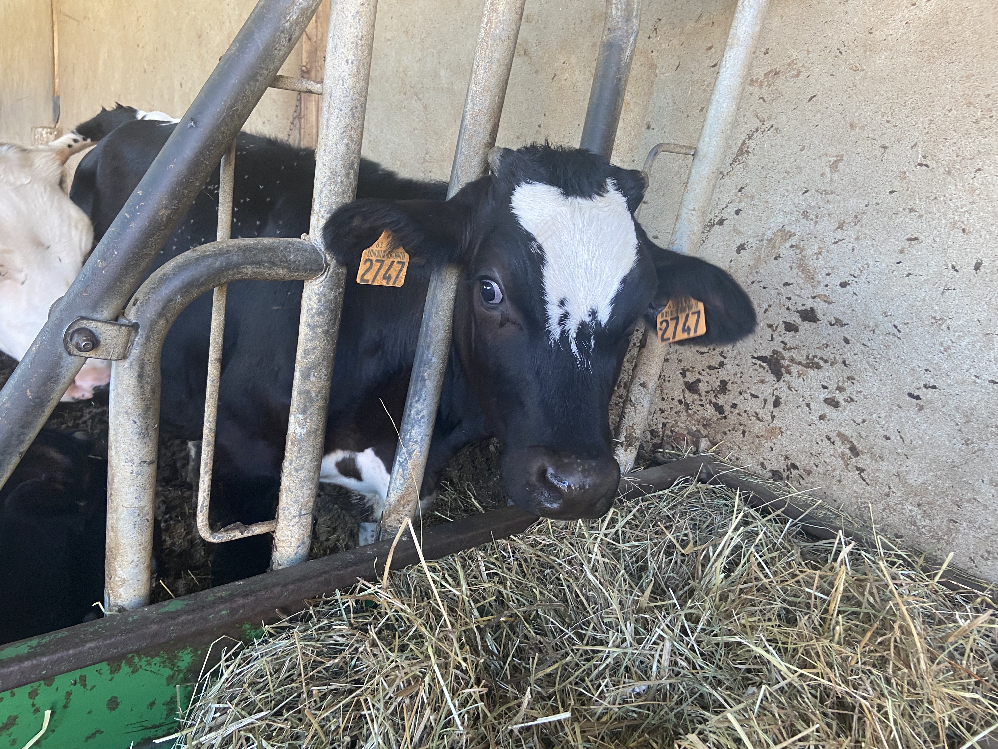 Photo n° 2 de l'avis de Christèle.n fait le 10/08/2022 à 18:04