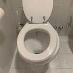 Photo n°3 de l'avis de Michela.i fait le 30/10/2023 à 12:47 sur le  Villa Pirandello Hotel & Cafè à Rome