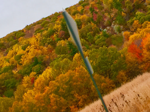 Theme Park «Lake Compounce», reviews and photos, 186 Enterprise Dr, Bristol, CT 06010, USA