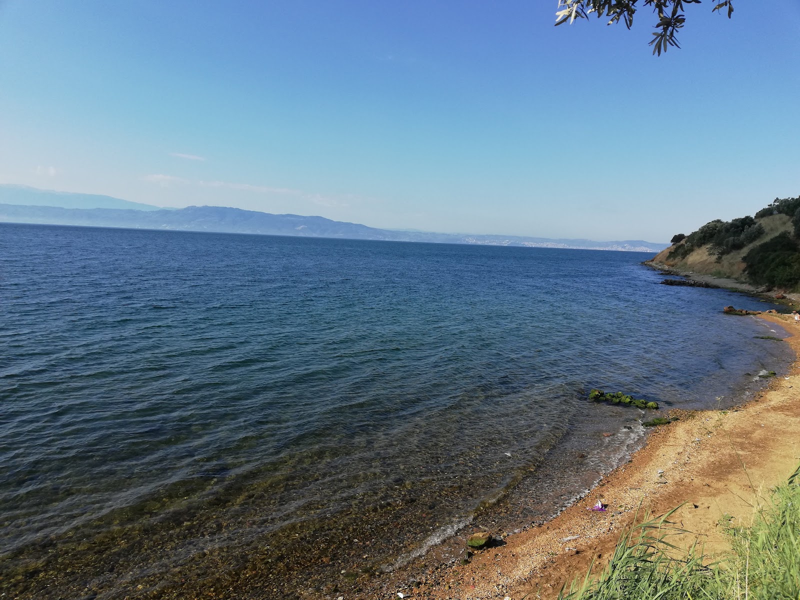 OnayCamping Plaji'in fotoğrafı çok temiz temizlik seviyesi ile