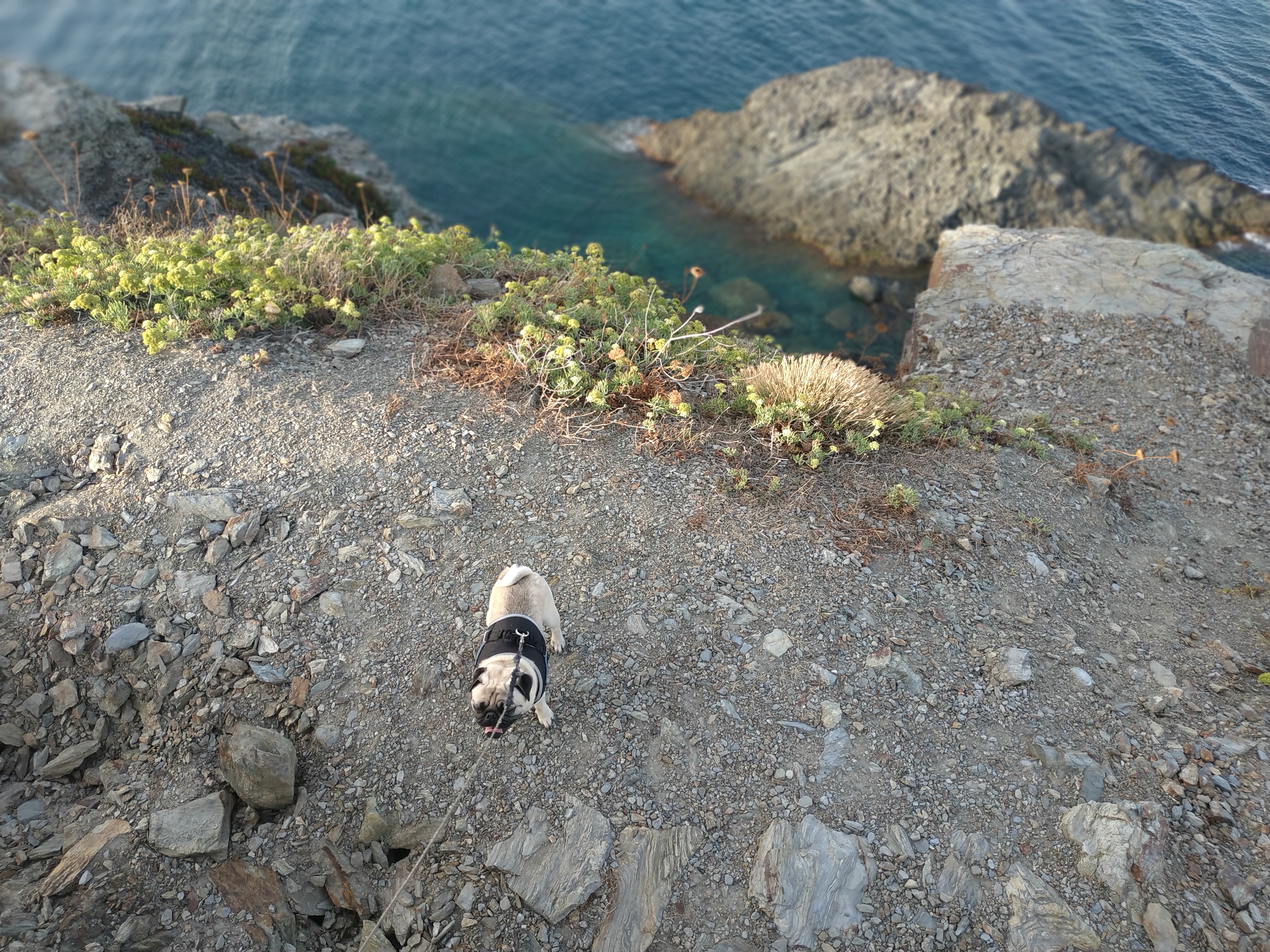 Photo n° 5 de l'avis de Corinne.i fait le 16/09/2019 à 17:20