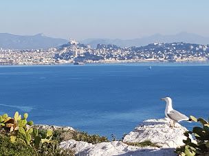 Photo n°23 de Côté Sud à Marseille ()