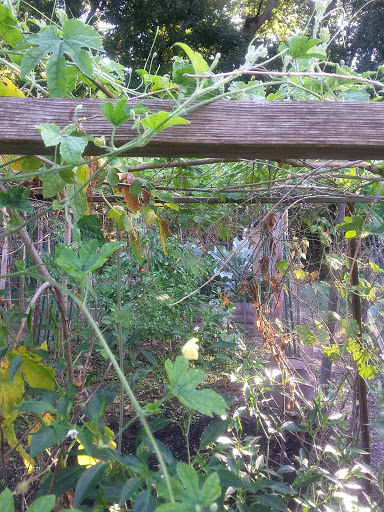 Golf Course «Bluemont Park Disc Golf Course», reviews and photos, 399 N Manchester St, Arlington, VA 22203, USA