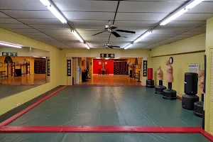 Academy of Ving Tsun Kung Fu image