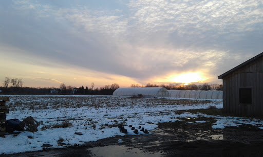 Produce Market «Blue Moon Acres», reviews and photos, 11 Willow Creek Dr, Pennington, NJ 08534, USA