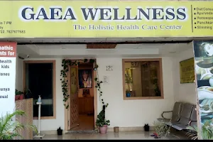 Gaea Wellness The Holistic Healthcare Center (Homeopathy, Diet, Ayurveda & Panchkarma, Lactation counsellor) image