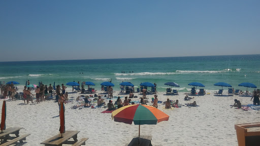 Tourist Attraction «Beach Sand Sculptures», reviews and photos, 15000 Emerald Coast Pkwy, Destin, FL 32541, USA