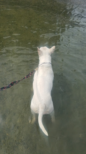 Park «Lundeen Park», reviews and photos, 10020 Lundeen Park Way, Lake Stevens, WA 98258, USA