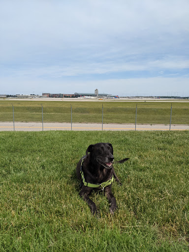 Tourist Attraction «Gerald R. Ford International Airport Viewing Area», reviews and photos, 4910 Kraft Ave SE, Grand Rapids, MI 49512, USA