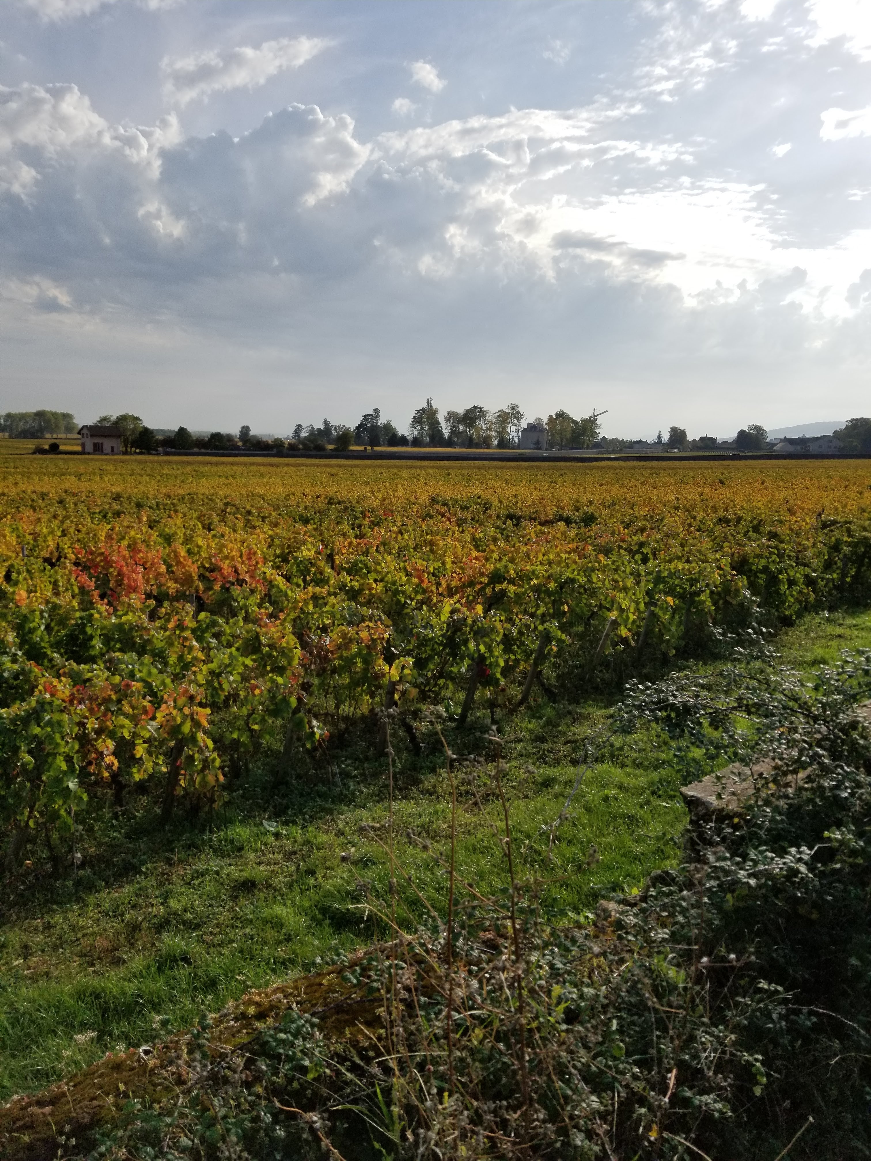Photo n° 1 de l'avis de Ryan.o fait le 16/10/2019 à 13:15