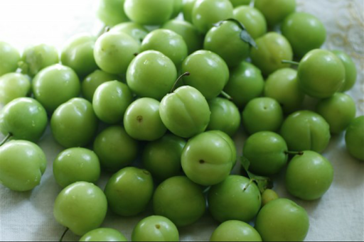 Grocery Store «Tarragon Middle East Market», reviews and photos, 6623 S Dixie Hwy, Miami, FL 33143, USA