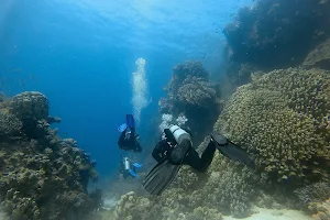 Dive Club diving center image