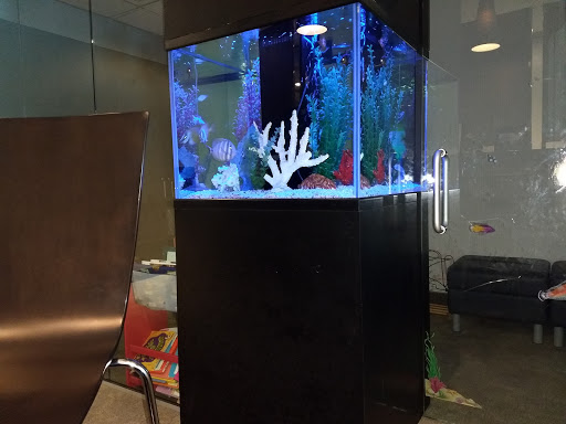 Car Dealer «Uptown Ford Lincoln», reviews and photos, 2111 N Mayfair Rd, Milwaukee, WI 53226, USA