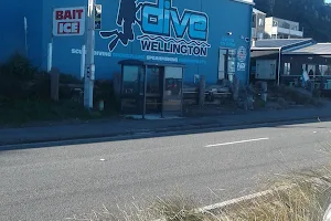 Dive Wellington image