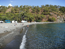 Photo de Kloepatra Koyu zone sauvage