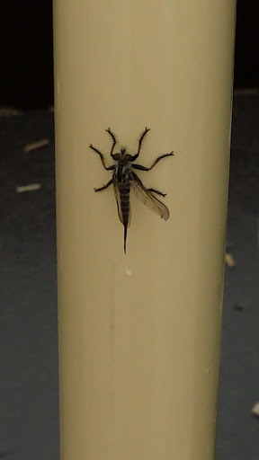 Park «Otis Park», reviews and photos, 607 Tunnelton Rd, Bedford, IN 47421, USA