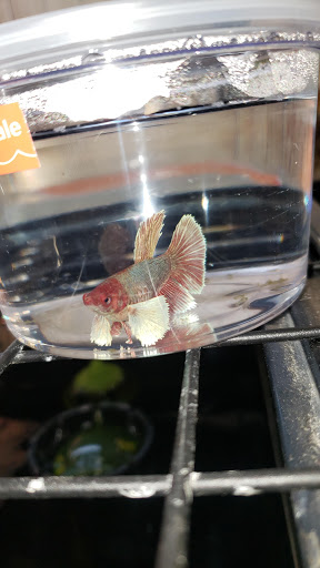 Pet Supply Store «Petco Animal Supplies», reviews and photos, 6025 Kruse Dr #159, Solon, OH 44139, USA