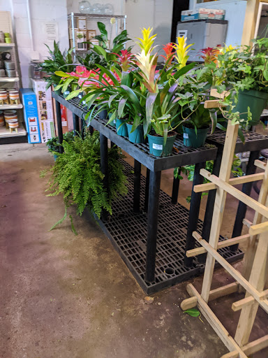 Hardware Store «Waverly Ace Hardware», reviews and photos, 601 Homestead St, Baltimore, MD 21218, USA