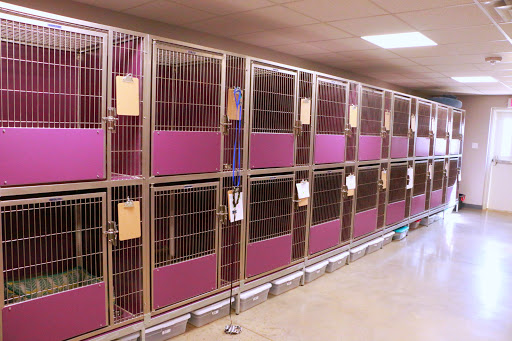 Pet Boarding Service «Creature Comforts», reviews and photos, 1600 W Cotton St, Longview, TX 75604, USA