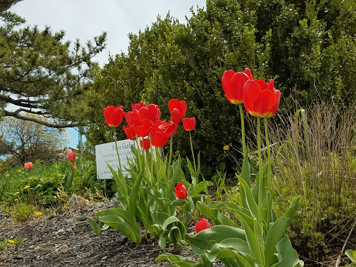 Park «Waterfront Promenade Park», reviews and photos, 22 Merrimac St, Newburyport, MA 01950, USA