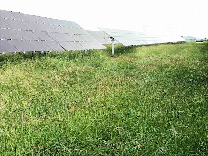 Daydream Solar Farm