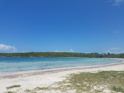 Playa Media Luna II'in fotoğrafı vahşi alan