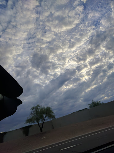 Wedding Venue «Boojum Tree», reviews and photos, 16026 N 36th St, Phoenix, AZ 85032, USA