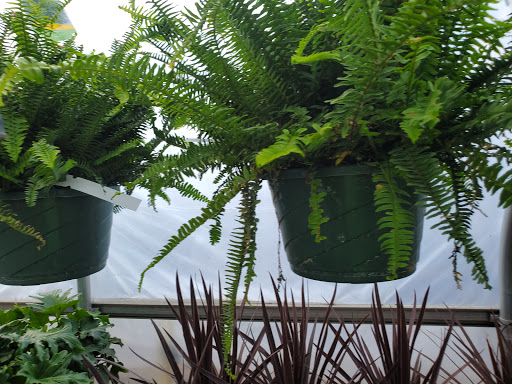 Garden Center «Beachside Gardens & Gifts», reviews and photos, 3725 US-12, Michigan City, IN 46360, USA