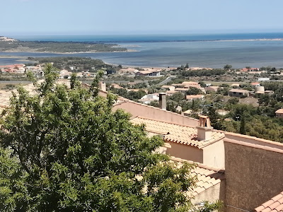 Chantemer à Fitou