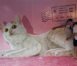 Phuket 3D Museum photo