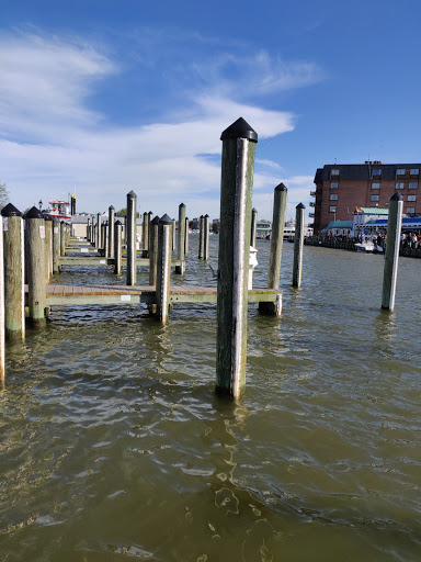 Boat Tour Agency «Watermark», reviews and photos, 1 Dock St, Annapolis, MD 21401, USA